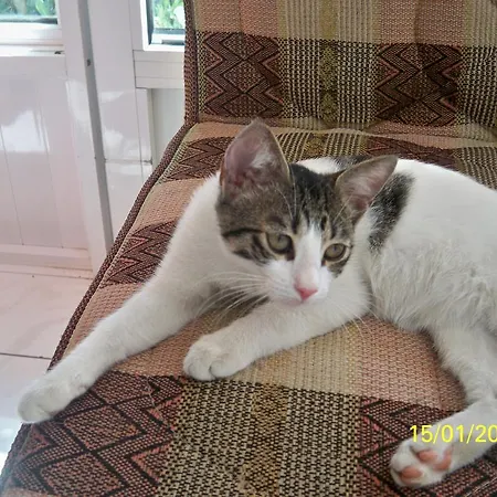 Aparthotel Family Apart